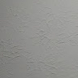 Meet your Posher, Shuniece